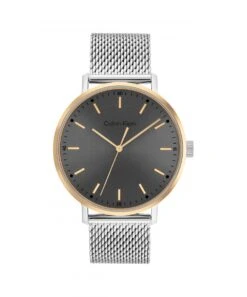 Calvin Klein Calvin Klein Modern Mesh Two Tone Gents Bracelet Watch