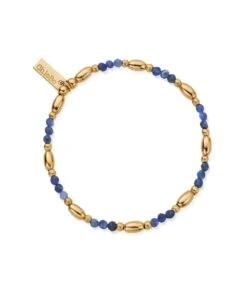 ChloBo ChloBo Gold Balance Sodalite Bracelet