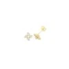 Gladstones Jewellers 9ct Yellow Gold CZ Stud Earrings -Ornaments Promotion Store gladstones jewellers 9ct yellow gold cz stud earrings p5862 34726 image