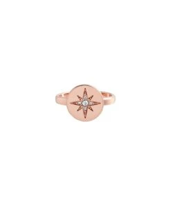 Olivia Burton Olivia Burton North Star Disc Rose Gold Ring