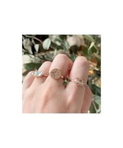 Olivia Burton Olivia Burton North Star Disc Rose Gold Ring 8 Olivia Burton Olivia Burton North Star Disc Rose Gold Ring -Ornaments Promotion Store olivia burton north star disc rose gold ring p2492 36940 image